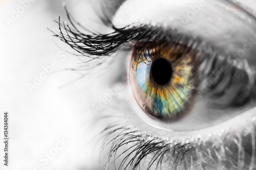 Colorful iris of the human eye with black and wite surrounding