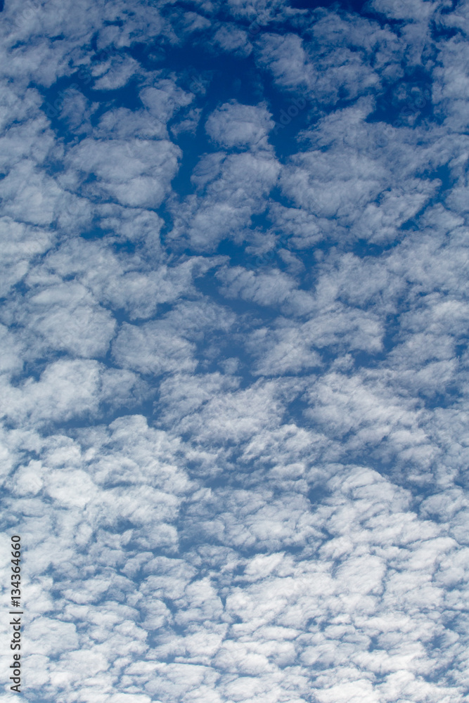 The vast blue sky and clouds sky The vast blue sky and clouds sky