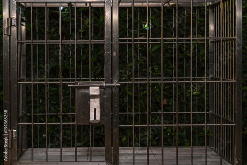 wire dog crate or animal cage
