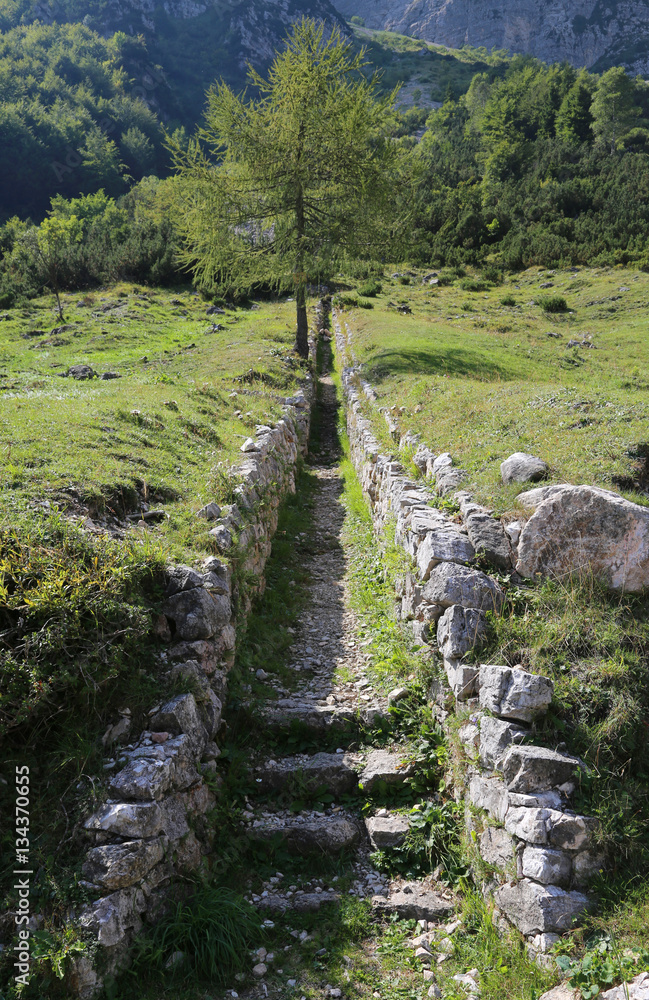 Fototapeta premium ancient trenches of first World War built by the soldiers with s