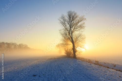 romantischer Wintermorgen © juefraphoto
