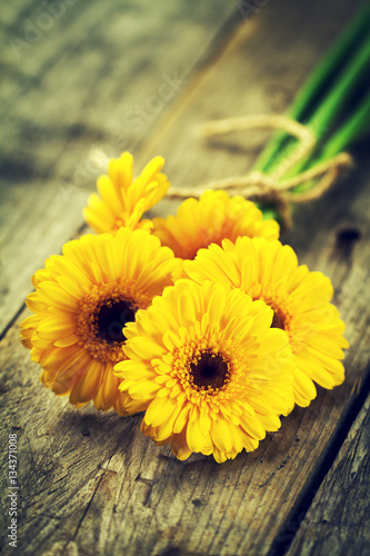 Beautiful Fresh Spring Yellow Bunch of Gerbers on Old Vintage Wo