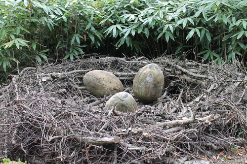 Adlerhorst mit Eiern als Skulptur in Meran