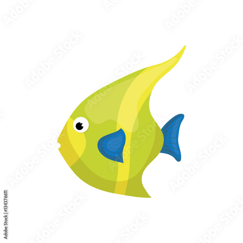 Sea fish animal icon vector illustration graphic design