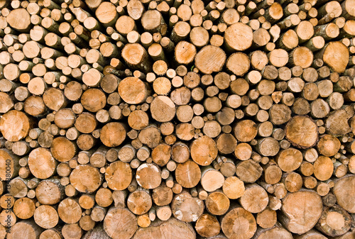 Sawed pine firewood