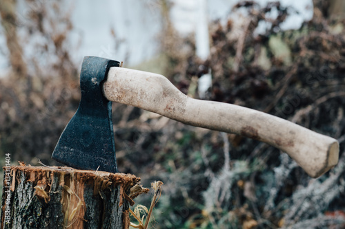 ax driven into a stump