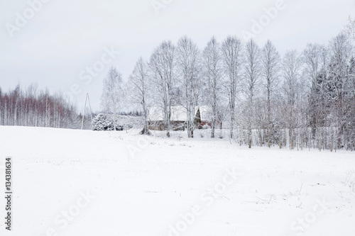 Nice winter day after blizzard. Tree branches are snow covered and look very beautiful. In the country is small forest house, where resting in winter weekends. 