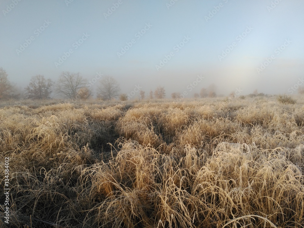 Fototapeta premium Paisaje helado