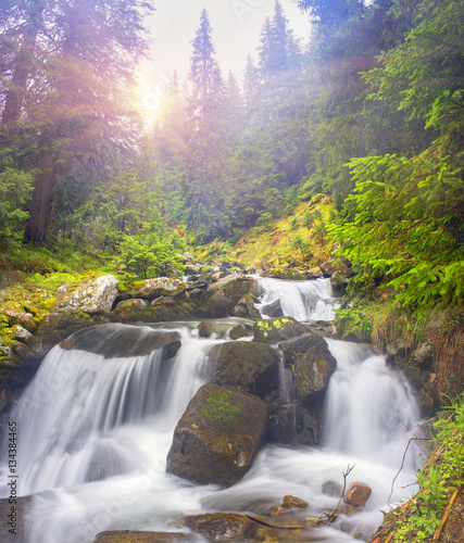 Prut river in the wild forest