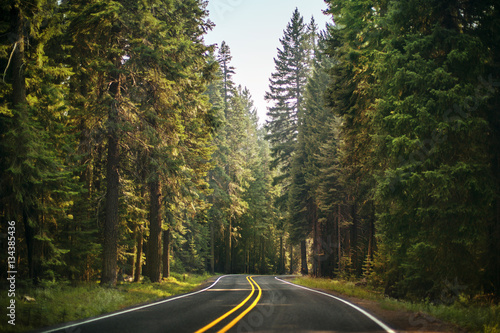 View of empty road through forest photo