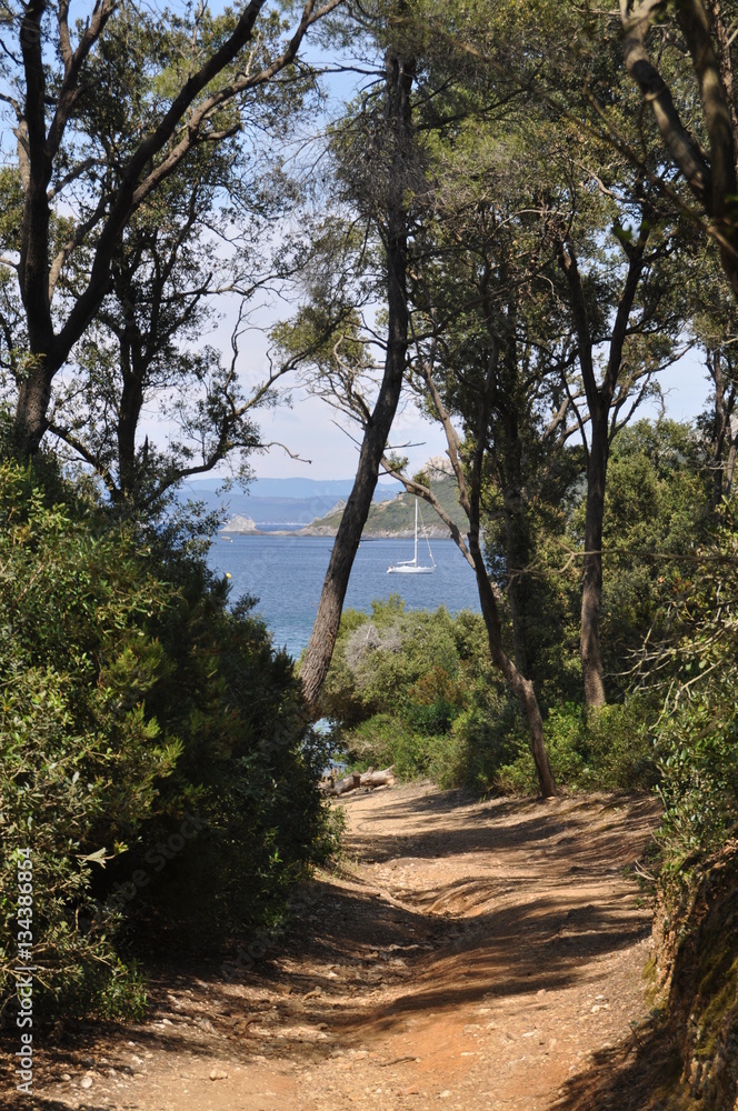 Fototapeta premium Porquerolles