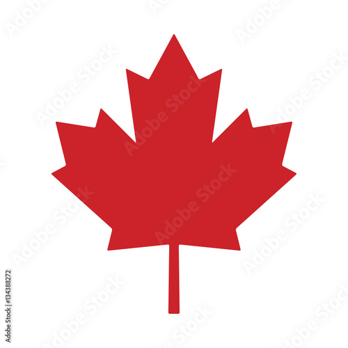 maple leaf canada vector symbol icon design