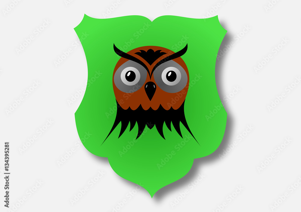 Obraz premium drawing of the owl's head in the green box
