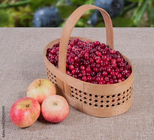 Cranberries in a basket on a fabric background and apples lying next photo