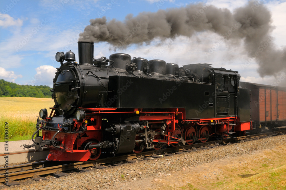 steam train on island Rugen in Germany Foto, Poster, Wandbilder bei  EuroPosters