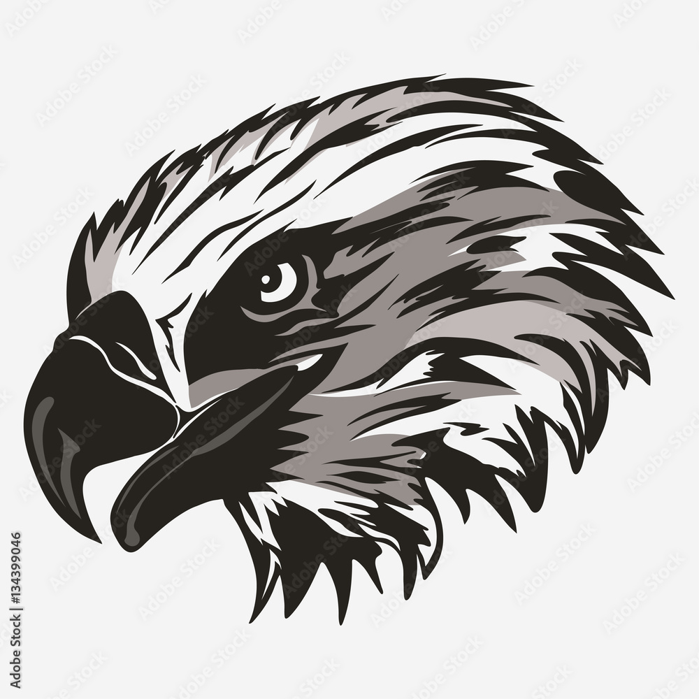 Eagle head logo vector Eagle head logo vector