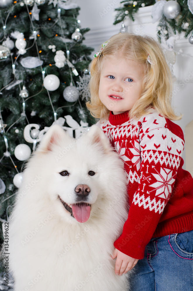 Beautiful little girl hugs a large white dog on the background of Christmas tree Beautiful little girl hugs a large white dog on the background of Christmas tree