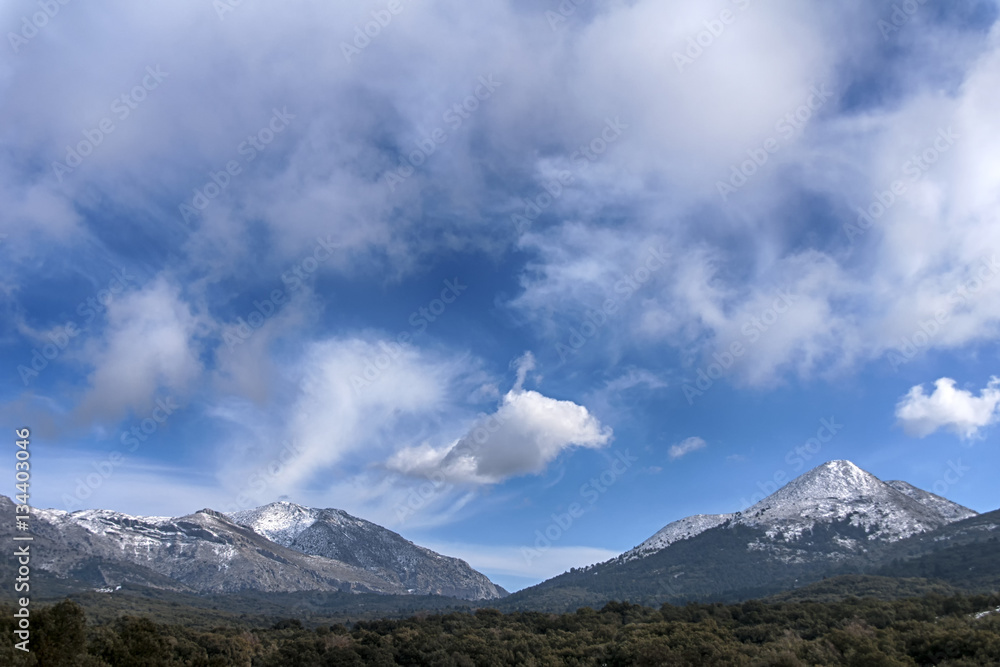 Hermoso parque natural de la sierra de las Nieves en la provincia de Málaga, Andalucía