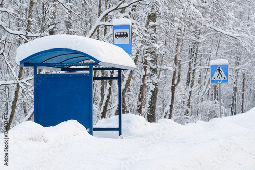 Wallpaper Mural the image of a winter forest Torontodigital.ca