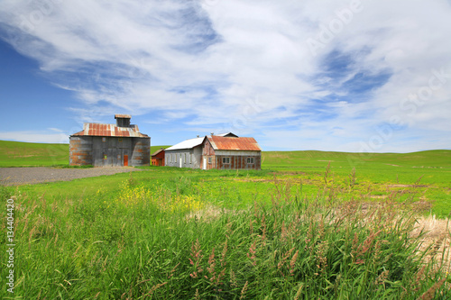  Old barns in the middle of wheat fields