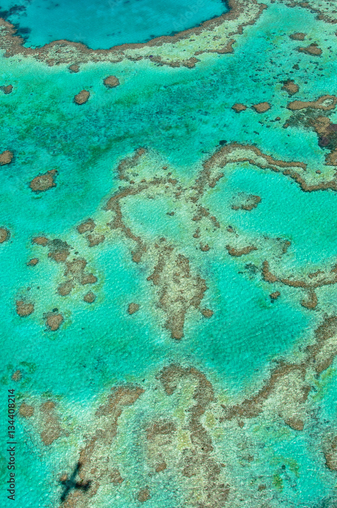 Obraz premium Great Barrier Reef