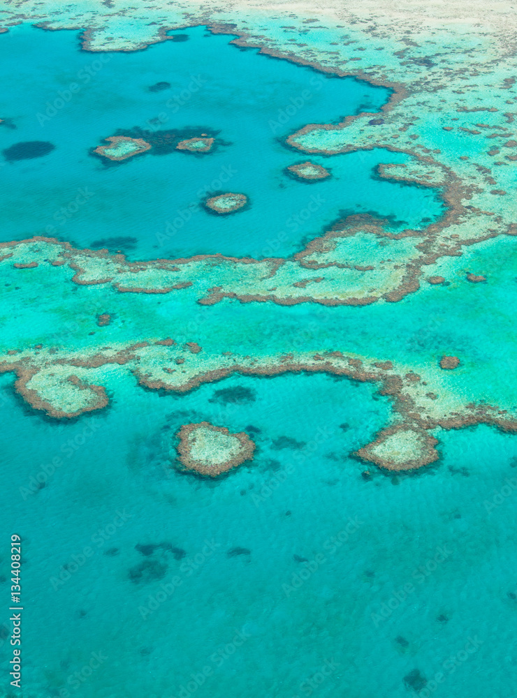 Obraz premium Great Barrier Reef