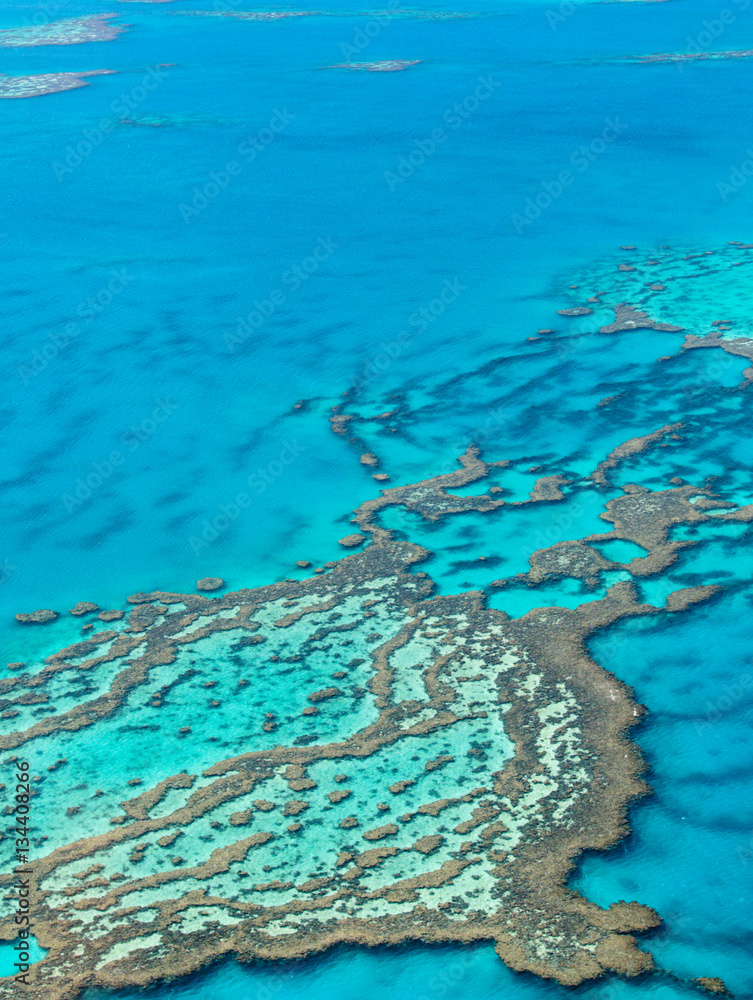 Heart Reef, Great Barrier Reef, one of the UNESCO world heritage sites, Australia Heart Reef, Great Barrier Reef, one of the UNESCO world heritage sites, Australia