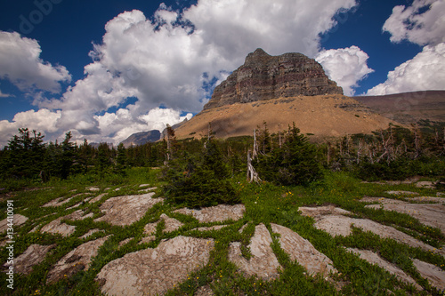 Pollock Mountain from Logan Pass, Glacier National Park, Montana