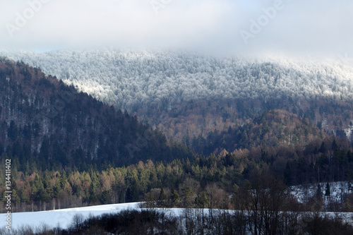 Fototapeta Naklejka Na Ścianę i Meble -  Zimowy krajobraz Bieszczadów