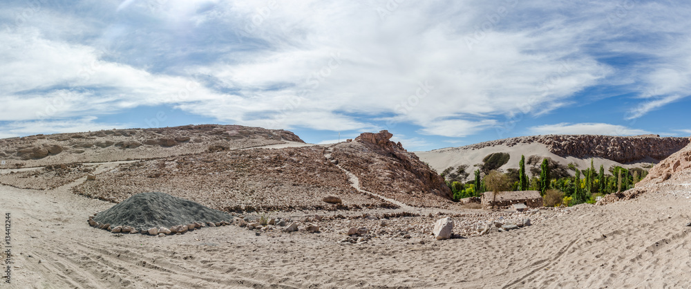 Fototapeta premium Jerez oasis, Atacama Desert, Chile.