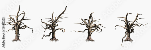 Vászonkép Single old and dead tree isolated on white background