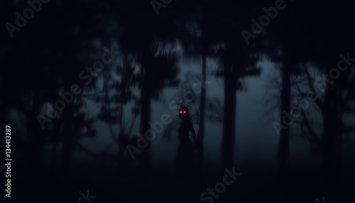 night forest halloween backgroun photo