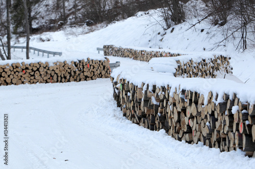 Fototapeta Naklejka Na Ścianę i Meble -  skład drewna w Bieszczadach