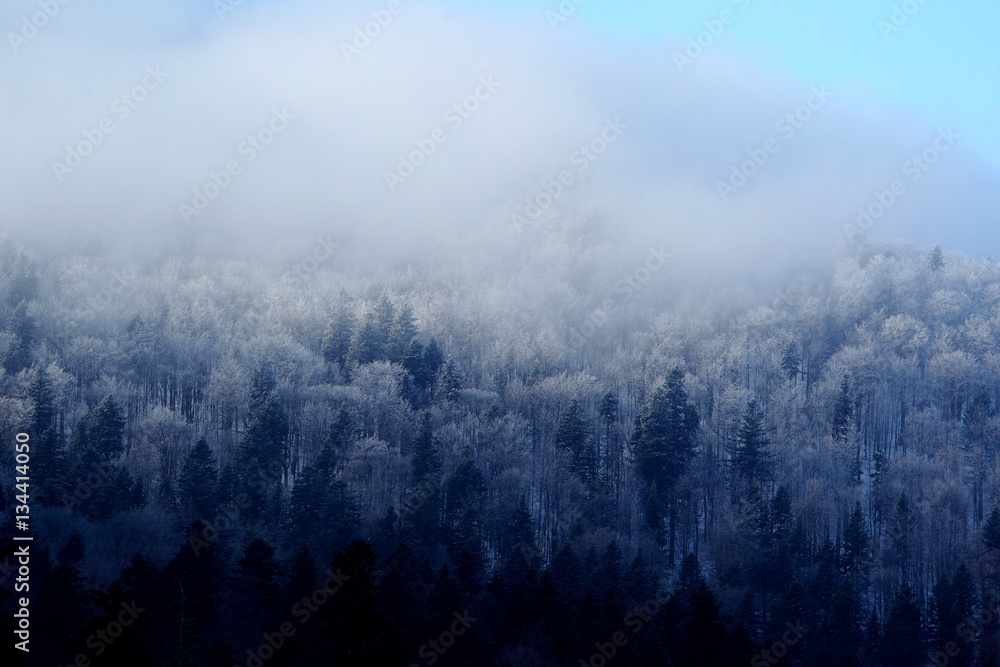 Fototapeta premium Zimowy krajobraz Bieszczadów