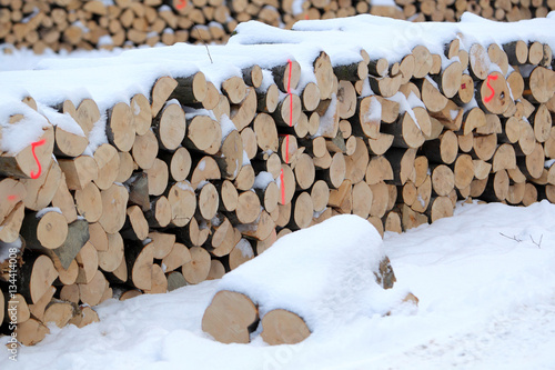 Skład drewna w Bieszczadach