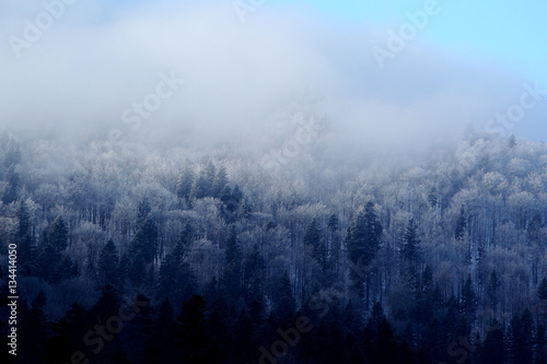 Zimowy krajobraz Bieszczadów
