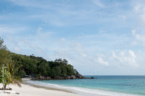 beach and tropical sea