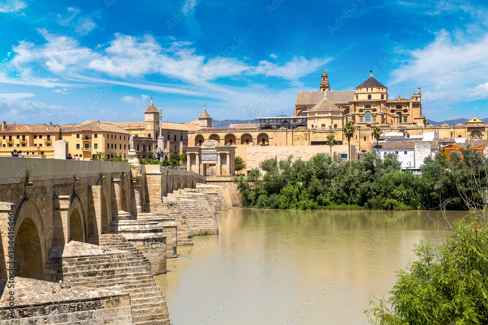 Fototapeta premium Roman Bridge in Cordoba
