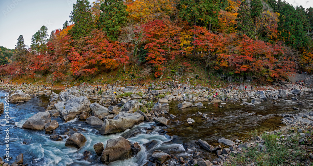 Autumn foliage and water stream at Korankei, Nagoya, Japan. Autumn foliage and water stream at Korankei, Nagoya, Japan.