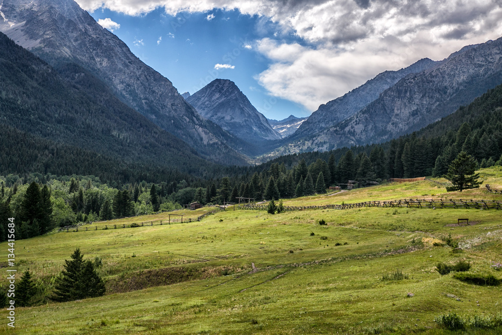 Summer Mountains