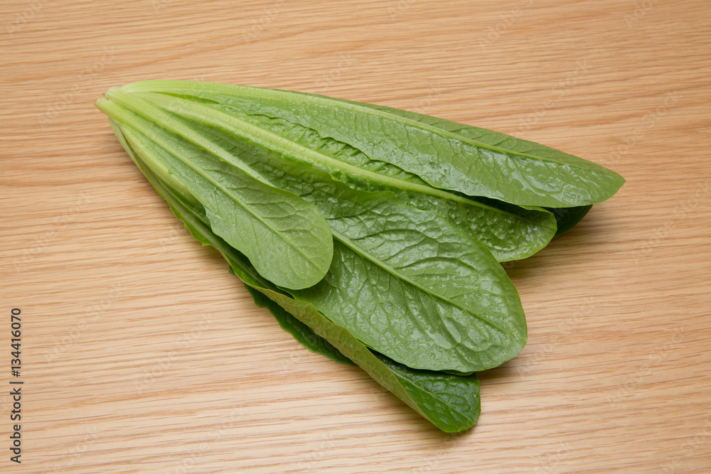 ロメインレタス