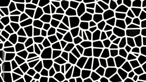  Black and White Voronoi Cellular Pattern   -   Abstract Looping Video Footage