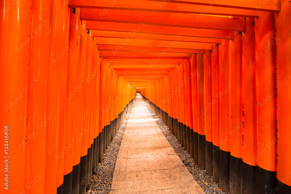 伏見稲荷大社の千本鳥居