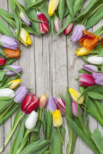 Frische bunte Tulpen vor einem Holzhintergrund