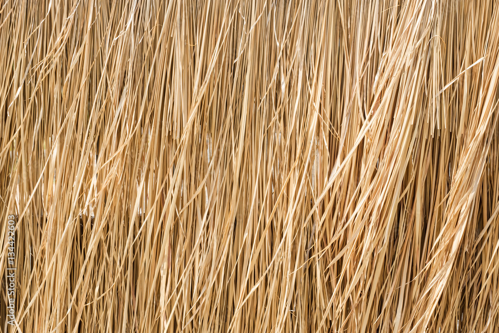 Close up yellow straw wall texture background Close up yellow straw wall texture background