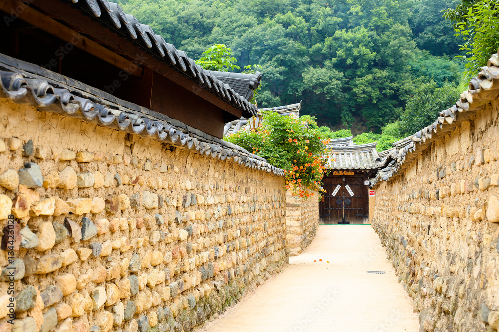 Fototapeta premium Chinese trumpet creeper is a classic beauty