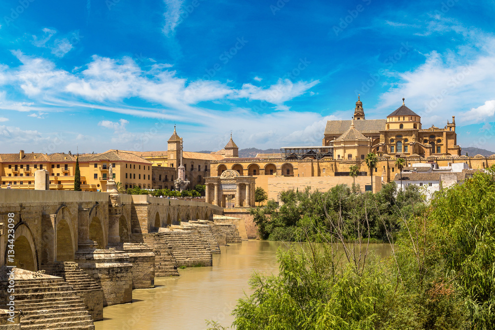 Fototapeta premium Roman Bridge in Cordoba