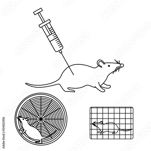 mouse in lab experiments