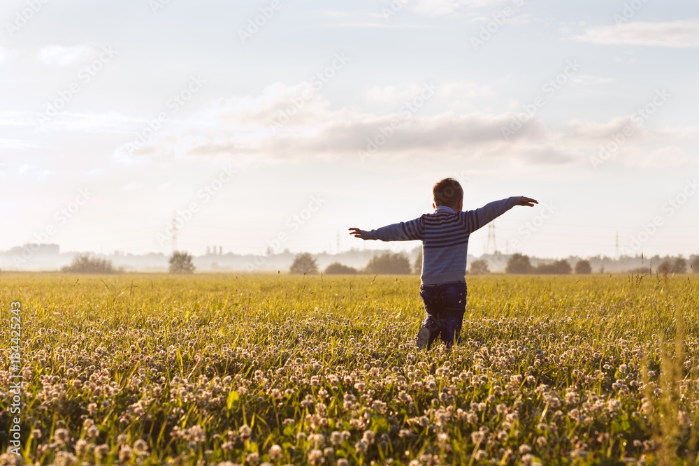 Little boy on the field in evening sunlight dreaming to fly like a plane. Little boy on the field in evening sunlight dreaming to fly like a plane.