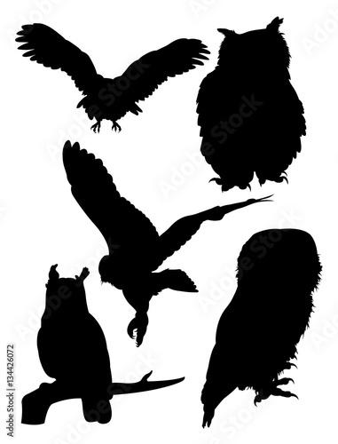 Owls birds silhouette. Good use for symbol, logo, mascot, web icon, sign, or any design you want.